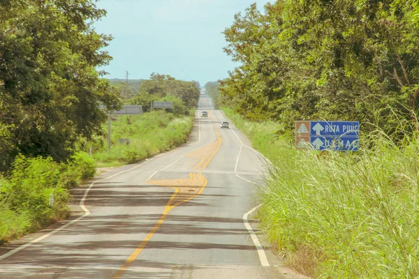 Estrada Para Antiga Cidade Uxmal — Fotografia de Stock