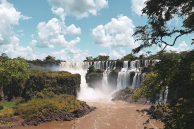 Iguazu yeşil doğal parkta düşüyor, Arjantin