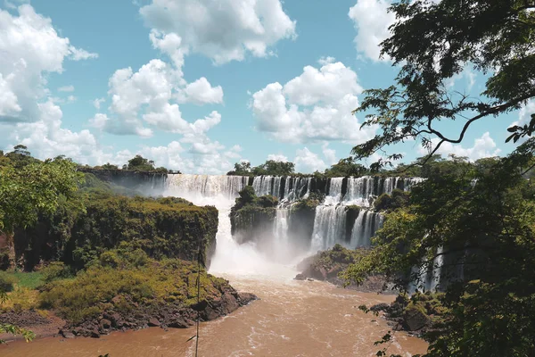 Dél Amerikai Coati Iguazu Vízesés — Stock Fotó