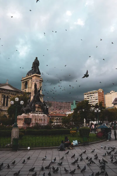 Palomas Volando Sobre Plaza Murillo Paz Bolivia —  Fotos de Stock