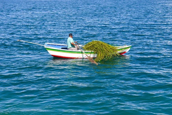 Båtar Sun Island Titicacasjön Copacabana Bolivia — Stockfoto