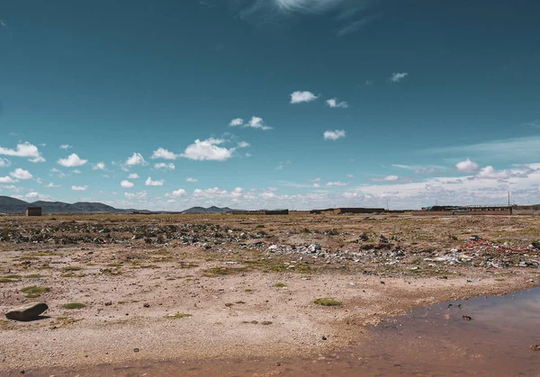 Llamas Dziedzinie Salar Uyuni Boliwii — Zdjęcie stockowe