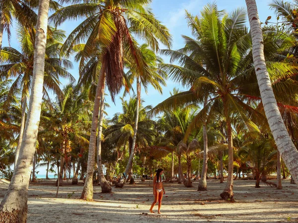 Vrouw Rondlopen Palm Tree Jungle Onok Island Balabac Filippijnen — Stockfoto