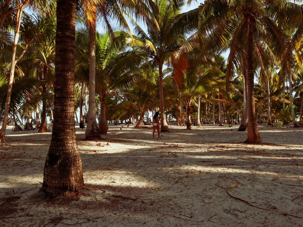 Mulher Andando Torno Selva Palmeira Ilha Onok Balabac Nas Filipinas — Fotografia de Stock