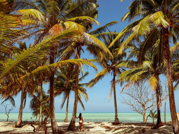 Vrouw Kijken Zonsondergang Met Palmbomen Candaraman Eiland Balabac Filippijnen — Stockfoto