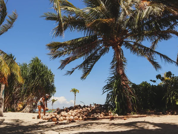 Vrouw Met Kokos Schelpen Palmboom Jungle Onok Island Balabac Palawan — Stockfoto