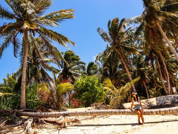 Meisje Zittend Palm Tree Lichaam Als Een Bankje Onok Eiland — Stockfoto