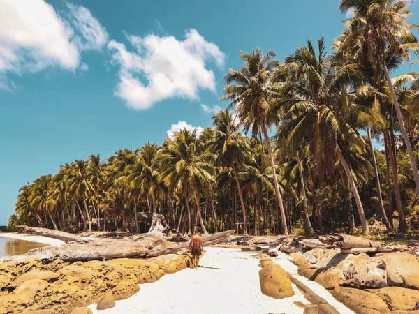 필리핀 팔라바카의 시크칸 하늘과 야자수가 해변과 청록색 — 스톡 사진