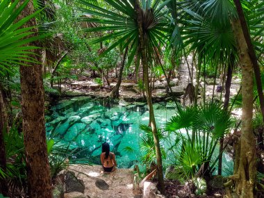 Riviera Maya gizli mücevher Cenote Azul, Yucatan Yarımadası
