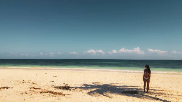 야자수와 카리브해 멕시코의 해변에 — 스톡 사진