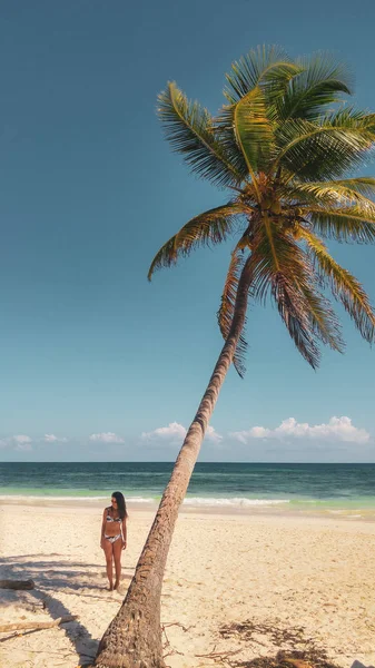 棕榈树和女孩在图卢姆加勒比海的白色海滩 墨西哥 — 图库照片