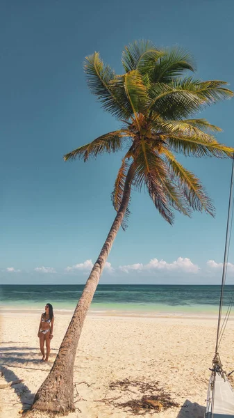 Palm Bomen Het Meisje Het Witte Strand Tulum Caribbean Mexico — Stockfoto