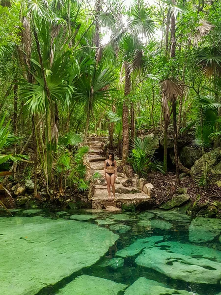 Приховані Gem Cenote Azul Рів Єра Майя Півострів Юкатан — стокове фото