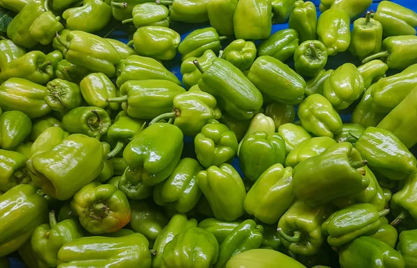 fresh green peppers at the vegetable store stand