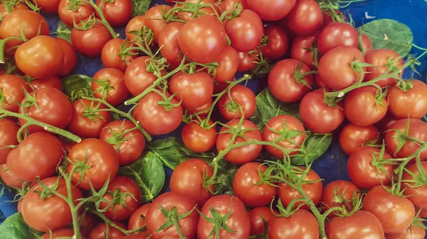 Λίγο Κόκκινο Φρέσκο Ώριμες Ντομάτες Φόντο Στη Βάση Της Αγοράς — Φωτογραφία Αρχείου