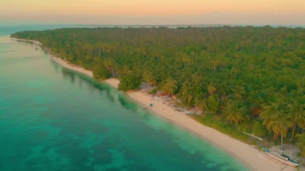 バラバク、フィリピンのヤシの木で覆われたカンダラマン島の航空写真海岸 — ストック動画