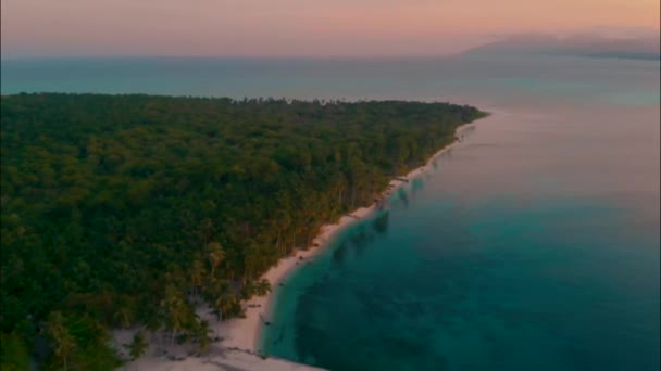 필리핀 발라박의 야자수로 덮인 칸다라만 섬의 공중 전경 — 비디오
