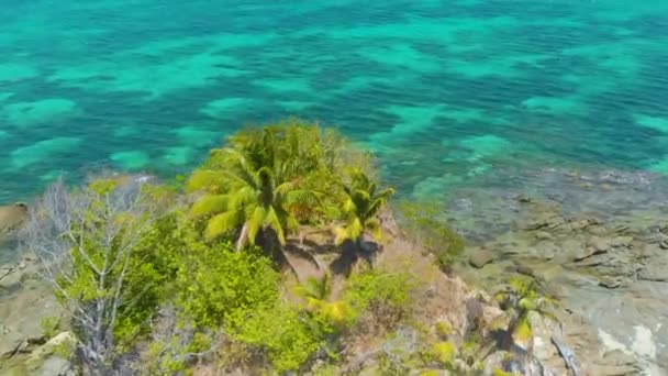 バラバク島のティンバヤン島の白い砂浜 ターコイズブルーの水とサンゴ礁を持つヤシの木の島 — ストック動画