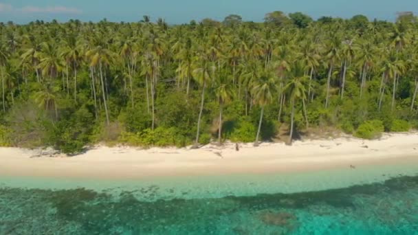 필리핀 발라박의 파동공 청록색 산호초가 야자수 — 비디오