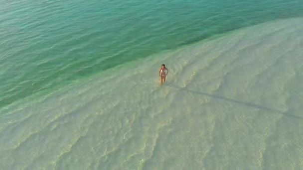 Kadın Balabac Filipinler Mansalangan Sandbar Turkuaz Tropikal Beyaz Kumlu Plajda — Stok video