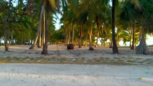 ヤシの木 ターコイズブルーの水とフィリピンの白い砂浜と熱帯の楽園のオノック島からの空中夕日 パラワンの海景夏と旅行の概念 — ストック動画