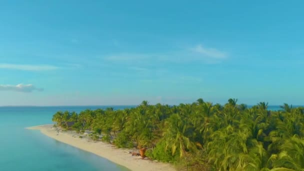 Azione Aerea Muove Isola Tropicale Palawan Filippine Circondata Palme Acque — Video Stock