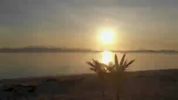 Atardecer Aéreo Desde Isla Onok Paraíso Tropical Con Palmeras Agua — Vídeos de Stock