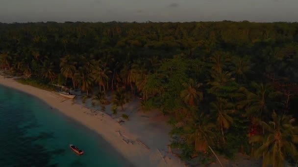 Вид Воздуха Пальмовые Джунгли Закате Тропическом Раю Остров Кандараман Балабаце — стоковое видео