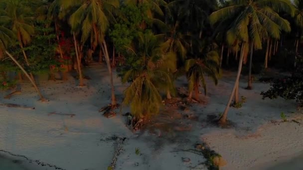 バラバク フィリピンの熱帯楽園カンダラマン島の夕暮しのヤシの木のジャングルの航空写真 — ストック動画