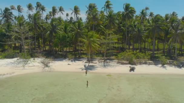 Vista Aerea Bella Coppia Nel Mezzo Della Costa Tropicale Spiaggia — Video Stock