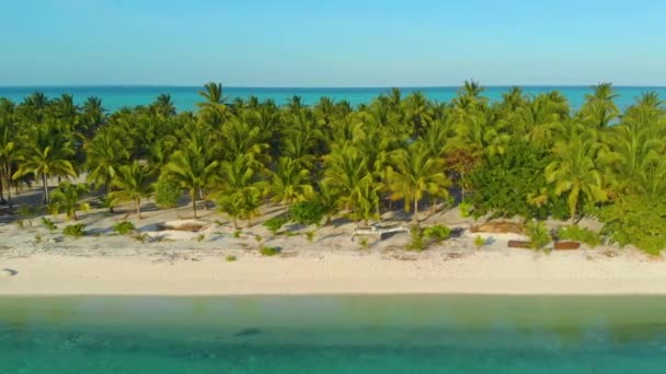 Lucht Landschap Van Tropische Kust Veel Palmbomen Met Eindeloze Turquoise — Stockvideo