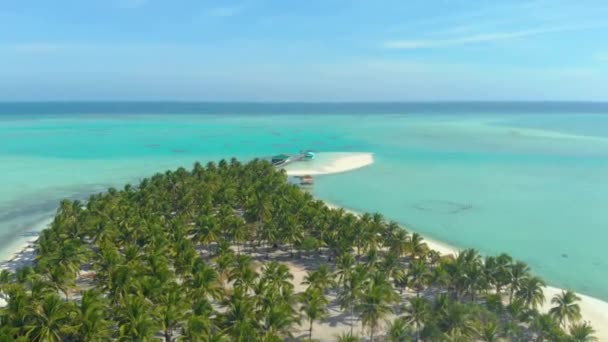 热带海岸的空中景观和大量的棕榈树与无尽的绿松石海洋和白色的沙从上面在天堂奥诺克岛巴拉巴克 菲律宾巴拉望的热带度假理念 — 图库视频影像