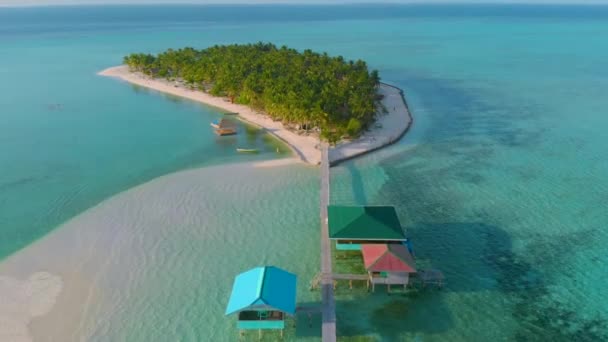 Isla Tropical Con Playa Blanca Palmeras Sinfín Aguas Turquesas Con — Vídeo de stock