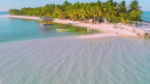 해안의 풍경과 섬에서 위에서 끝없는 청록색 바다와 모래와 야자수의 필리핀 — 비디오