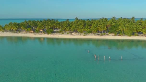 Aerial Landscape Tropical Coast Lots Palm Trees Endless Turquoise Ocean — Stock Video