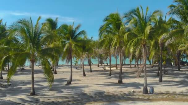バラバクの楽園オノク島で 熱帯海岸と無限のターコイズブルーの海と白い砂とヤシの木の多くの空中風景 パラワン州 フィリピンのトロピカルバケーションコンセプト — ストック動画
