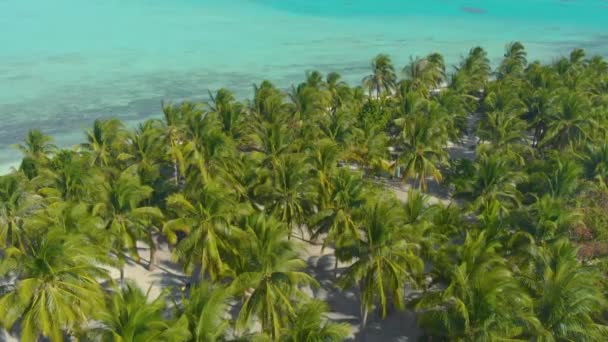 バラバクの楽園オノク島で 熱帯海岸と無限のターコイズブルーの海と白い砂とヤシの木の多くの空中風景 パラワン州 フィリピンのトロピカルバケーションコンセプト — ストック動画