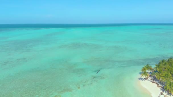 Tropisk Med Vit Strand Palmer Och Oändligt Turkos Vatten Med — Stockvideo