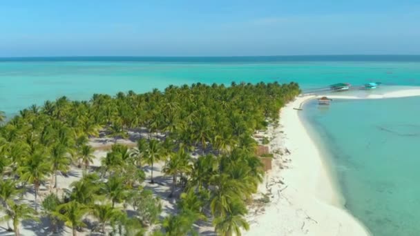 在菲律宾巴拉巴克帕拉万岛 棕榈树的鸟瞰图沿着白色的沙海岸和无尽的绿松石水排列 热带岛屿 有棕榈树和白色的沙 — 图库视频影像