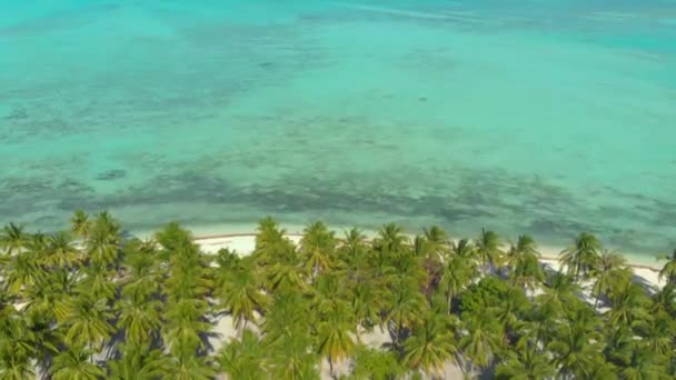 Ilha Tropical Com Praia Branca Palmeiras Água Azul Turquesa Interminável — Vídeo de Stock