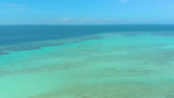 Tropisk Med Vit Strand Palmer Och Oändligt Turkos Vatten Med — Stockvideo