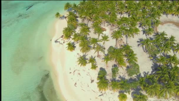 バラバク パラワン フィリピンのオノク島の白い砂の海岸と無限のターコイズブルーの水に沿ってヤシの木の空中写真が並んでいます ヤシの森と白い砂の熱帯の島 — ストック動画