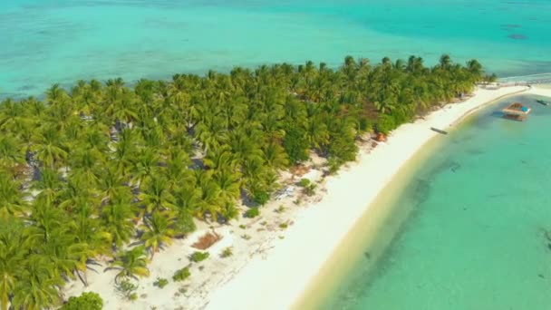 Vista Aérea Las Palmeras Alinean Largo Costa Arena Blanca Agua — Vídeo de stock