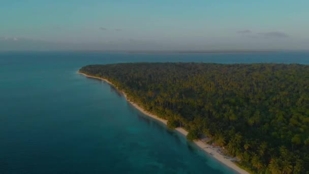 Aerial approaching to palm trees line up along the tropical white sand coast of Candarman island — Stock Video