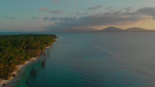 Candarman adasının tropikal beyaz kum sahili boyunca palmiye ağaçlarına yaklaşan havadan — Stok video