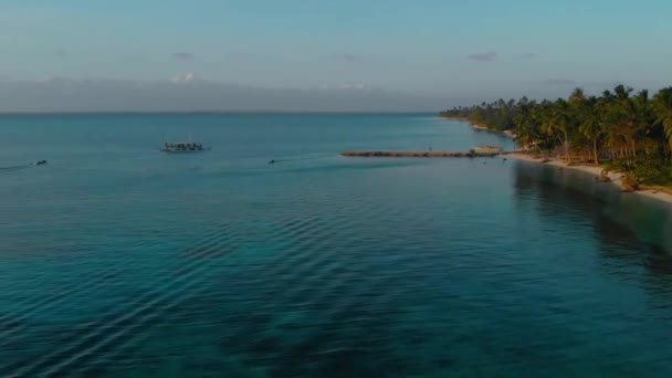 Côte tropicale aérienne et palmiers alignés le long de l'île de Candaraman à Balabac — Video