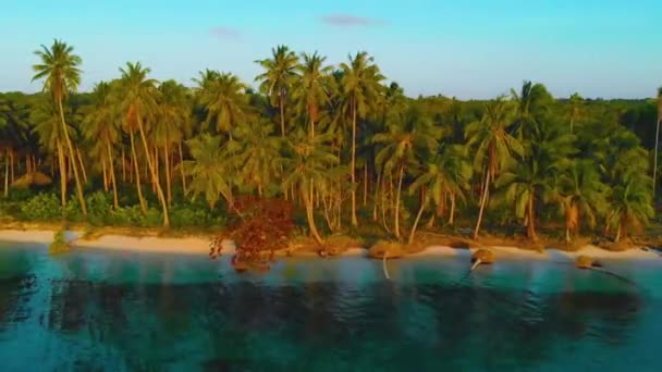 Воздушное тропическое побережье и пальмы выстраиваются вдоль острова на острове Кандараман в Балабаце — стоковое видео