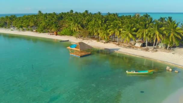 Veduta Aerea Delle Palme Allinearsi Lungo Costa Sabbia Bianca Acqua — Video Stock