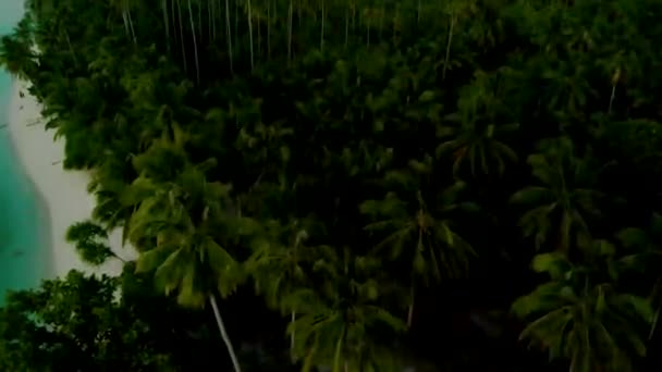 칸다라만 섬의 낙원을 따라 열대 해안의 공중 풍경 — 비디오
