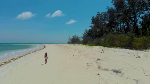 Mujer caminando interminable playa de arena blanca en Punta Sebaring en la isla de Bugsuk desde arriba . — Vídeos de Stock
